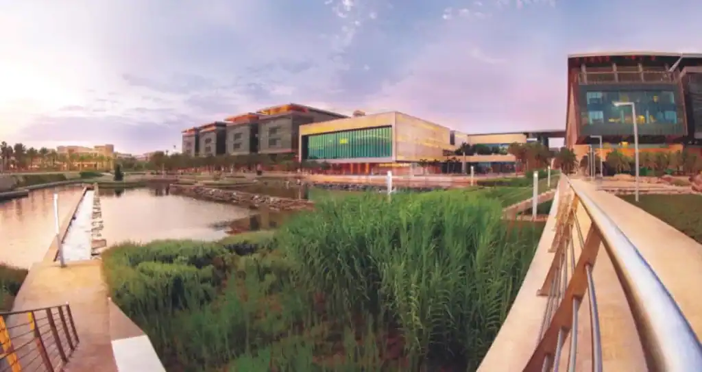 الدراسة في الجامعات الحكومية في السعودية